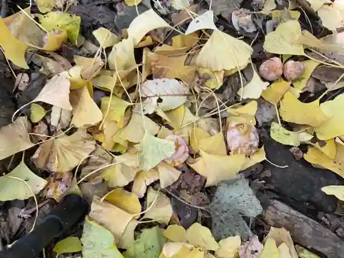 十二天神社(神奈川県)