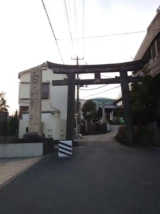 白山神社の鳥居
