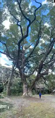 曽許乃御立神社(静岡県)