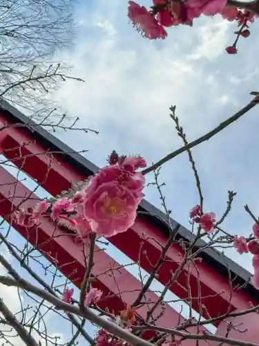亀戸天神社の{uncategorized: "未分類", other: "その他", undefined: "問題あり", building: "その他建物", grave: "お墓", sacred_gate: "鳥居", guardian: "狛犬", statue: "像", buddha: "仏像", history: "歴史", nature: "自然", garden: "庭園", animal: "動物", pagoda: "塔", temizu: "手水舎", mountain_gate: "山門・神門", sanctuary: "本殿・本堂", subordinate: "末社・摂社", art: "芸術", scenery: "景色", jizo: "地蔵", ema: "絵馬", goshuin: "御朱印", omikuji: "おみくじ", items: "授与品その他", amulet: "お守り", goshuincho: "御朱印帳", eats: "食事", festival: "お祭り", votive_dance: "神楽", shichigosan: "七五三参", wedding: "結婚式", experience: "体験その他", initially: "初詣", around: "周辺", anti_infection: "感染症対策"}