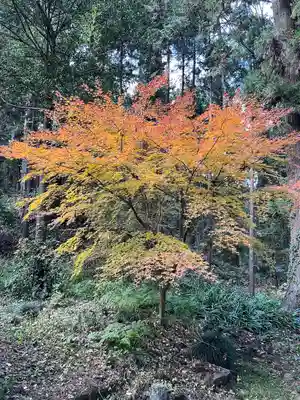 大宮温泉神社(栃木県)