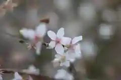 西明寺(滋賀県)