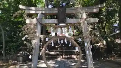 世田谷八幡宮(東京都)