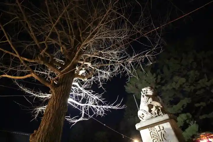 石神井氷川神社(東京都)