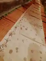 玉眞院玉川大師の体験その他