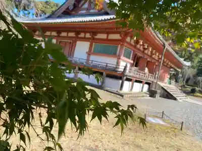 醍醐寺の本殿・本堂