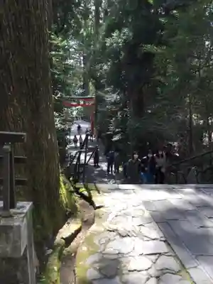 箱根神社のその他建物