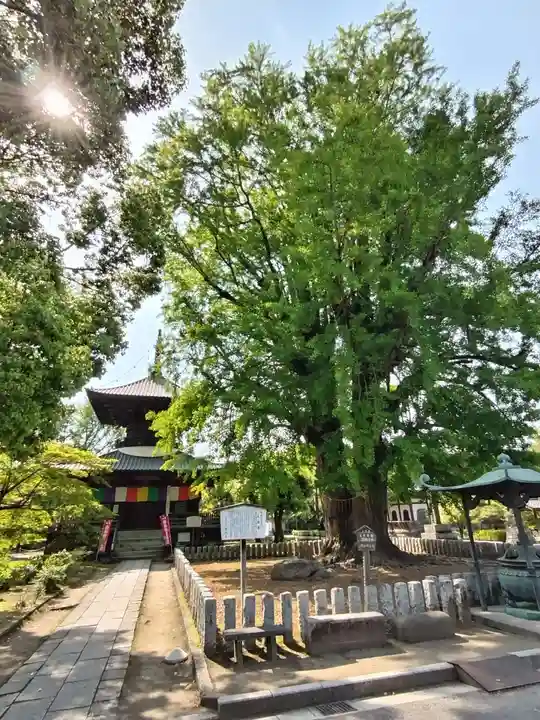 鑁阿寺(栃木県)