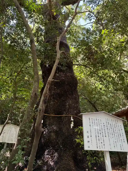 花窟神社の{uncategorized: "未分類", other: "その他", undefined: "問題あり", building: "その他建物", grave: "お墓", sacred_gate: "鳥居", guardian: "狛犬", statue: "像", buddha: "仏像", history: "歴史", nature: "自然", garden: "庭園", animal: "動物", pagoda: "塔", temizu: "手水舎", mountain_gate: "山門・神門", sanctuary: "本殿・本堂", subordinate: "末社・摂社", art: "芸術", scenery: "景色", jizo: "地蔵", ema: "絵馬", goshuin: "御朱印", omikuji: "おみくじ", items: "授与品その他", amulet: "お守り", goshuincho: "御朱印帳", eats: "食事", festival: "お祭り", votive_dance: "神楽", shichigosan: "七五三参", wedding: "結婚式", experience: "体験その他", initially: "初詣", around: "周辺", anti_infection: "感染症対策"}