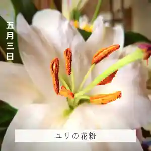 壽徳寺 じゅとくじ(福島県)(2022年05月03日(火) 09時09分09秒投稿)