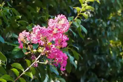 善法律寺(京都府)