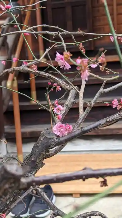 宝蔵寺(京都府)
