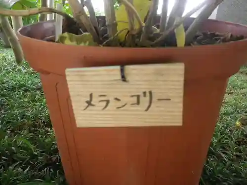 長谷寺のその他建物