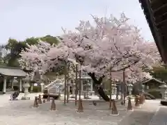 伊和志津神社の建物その他