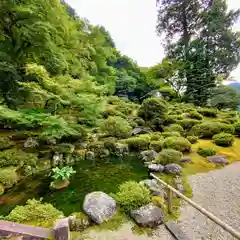 萬徳寺(福井県)