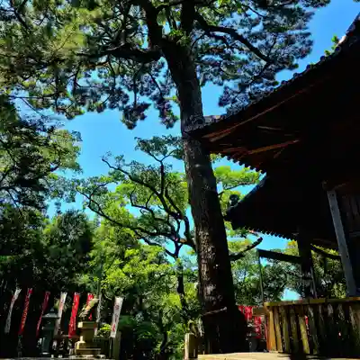 岐佐神社(静岡県)