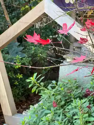 阿佐ヶ谷神明宮(東京都)