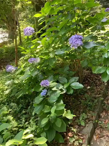 甘縄神明神社（甘縄神明宮）の庭園