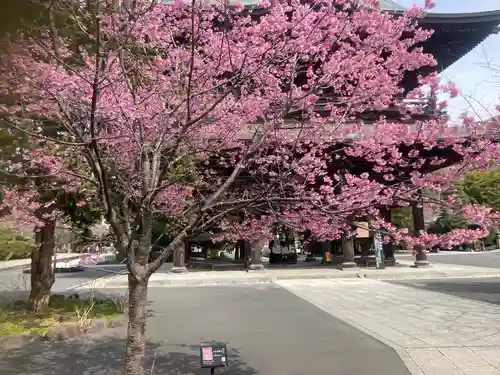 建長寺(神奈川県)