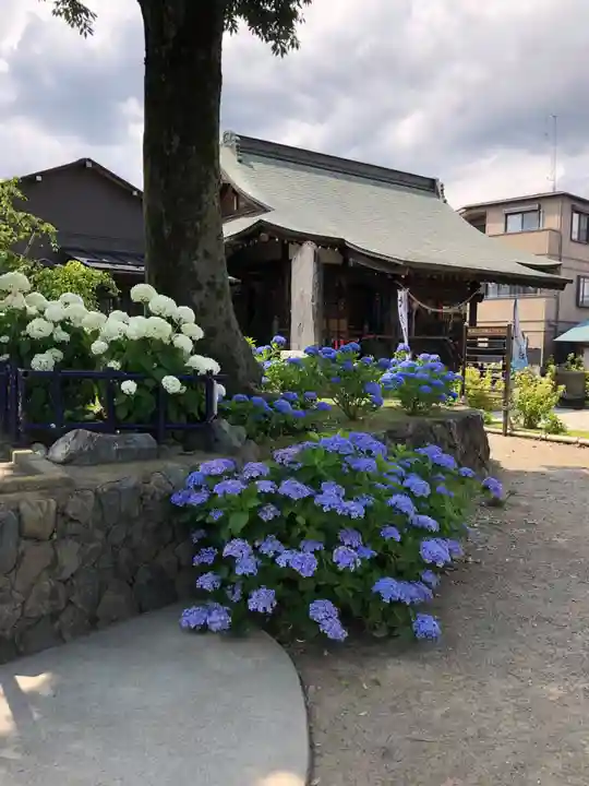 日吉八王子神社の庭園