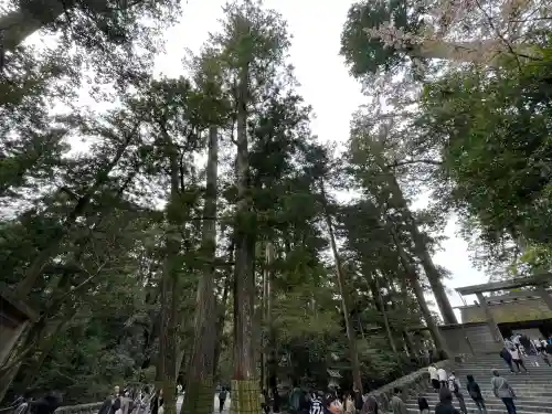 伊勢神宮内宮（皇大神宮）の{uncategorized: "未分類", other: "その他", undefined: "問題あり", building: "その他建物", grave: "お墓", sacred_gate: "鳥居", guardian: "狛犬", statue: "像", buddha: "仏像", history: "歴史", nature: "自然", garden: "庭園", animal: "動物", pagoda: "塔", temizu: "手水舎", mountain_gate: "山門・神門", sanctuary: "本殿・本堂", subordinate: "末社・摂社", art: "芸術", scenery: "景色", jizo: "地蔵", ema: "絵馬", goshuin: "御朱印", omikuji: "おみくじ", items: "授与品その他", amulet: "お守り", goshuincho: "御朱印帳", eats: "食事", festival: "お祭り", votive_dance: "神楽", shichigosan: "七五三参", wedding: "結婚式", experience: "体験その他", initially: "初詣", around: "周辺", anti_infection: "感染症対策"}