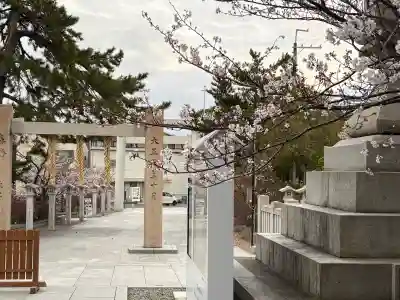 廣田神社の{uncategorized: "未分類", other: "その他", undefined: "問題あり", building: "その他建物", grave: "お墓", sacred_gate: "鳥居", guardian: "狛犬", statue: "像", buddha: "仏像", history: "歴史", nature: "自然", garden: "庭園", animal: "動物", pagoda: "塔", temizu: "手水舎", mountain_gate: "山門・神門", sanctuary: "本殿・本堂", subordinate: "末社・摂社", art: "芸術", scenery: "景色", jizo: "地蔵", ema: "絵馬", goshuin: "御朱印", omikuji: "おみくじ", items: "授与品その他", amulet: "お守り", goshuincho: "御朱印帳", eats: "食事", festival: "お祭り", votive_dance: "神楽", shichigosan: "七五三参", wedding: "結婚式", experience: "体験その他", initially: "初詣", around: "周辺", anti_infection: "感染症対策"}