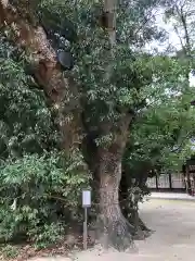 白鳥神社(香川県)