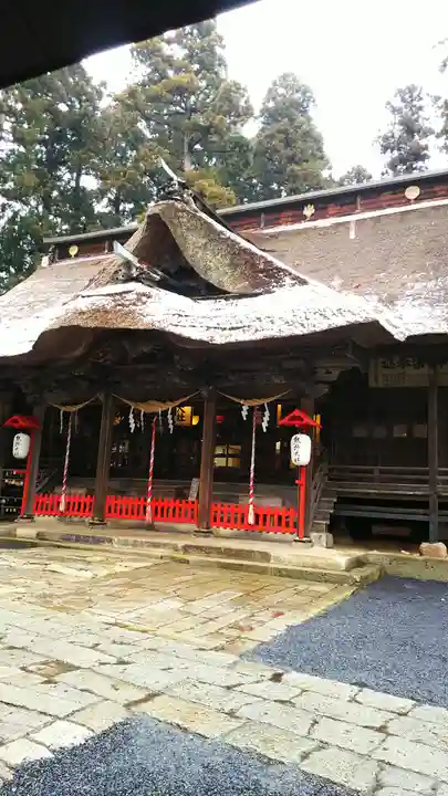 熊野大社の本殿・本堂