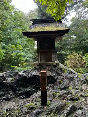 賀茂別雷神社（上賀茂神社）(京都府)