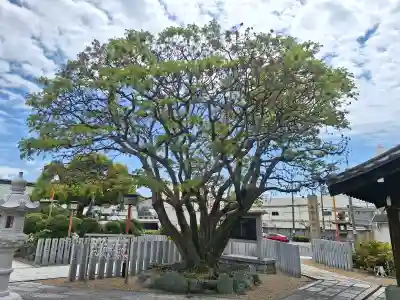 中島惣社の{uncategorized: "未分類", other: "その他", undefined: "問題あり", building: "その他建物", grave: "お墓", sacred_gate: "鳥居", guardian: "狛犬", statue: "像", buddha: "仏像", history: "歴史", nature: "自然", garden: "庭園", animal: "動物", pagoda: "塔", temizu: "手水舎", mountain_gate: "山門・神門", sanctuary: "本殿・本堂", subordinate: "末社・摂社", art: "芸術", scenery: "景色", jizo: "地蔵", ema: "絵馬", goshuin: "御朱印", omikuji: "おみくじ", items: "授与品その他", amulet: "お守り", goshuincho: "御朱印帳", eats: "食事", festival: "お祭り", votive_dance: "神楽", shichigosan: "七五三参", wedding: "結婚式", experience: "体験その他", initially: "初詣", around: "周辺", anti_infection: "感染症対策"}