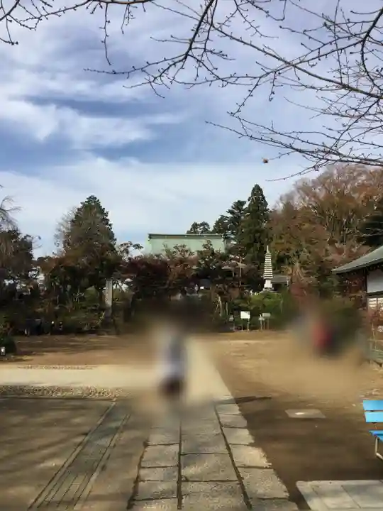 本土寺の本殿・本堂