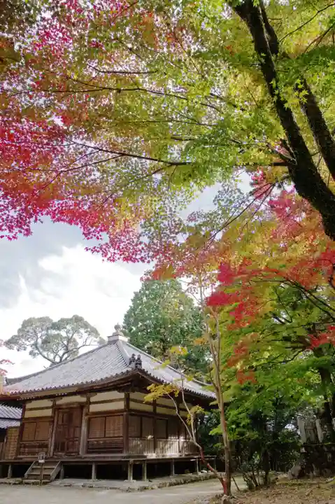 圓教寺(兵庫県)