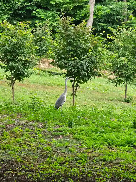 美幌神社(北海道)