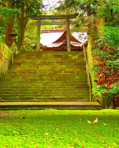 日吉神社の建物その他