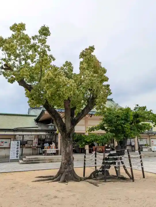 難波大社 生國魂神社の{uncategorized: "未分類", other: "その他", undefined: "問題あり", building: "その他建物", grave: "お墓", sacred_gate: "鳥居", guardian: "狛犬", statue: "像", buddha: "仏像", history: "歴史", nature: "自然", garden: "庭園", animal: "動物", pagoda: "塔", temizu: "手水舎", mountain_gate: "山門・神門", sanctuary: "本殿・本堂", subordinate: "末社・摂社", art: "芸術", scenery: "景色", jizo: "地蔵", ema: "絵馬", goshuin: "御朱印", omikuji: "おみくじ", items: "授与品その他", amulet: "お守り", goshuincho: "御朱印帳", eats: "食事", festival: "お祭り", votive_dance: "神楽", shichigosan: "七五三参", wedding: "結婚式", experience: "体験その他", initially: "初詣", around: "周辺", anti_infection: "感染症対策"}