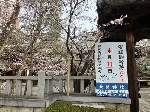 天孫神社(滋賀県)