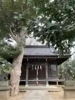 日枝神社の本殿・本堂