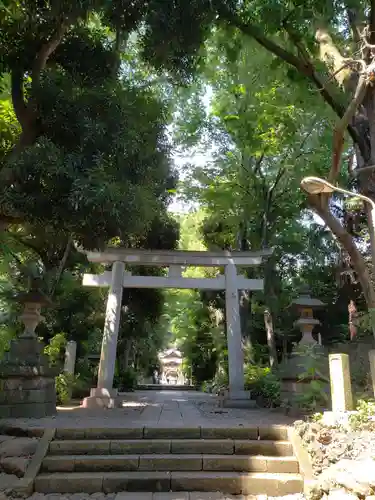 代々木八幡宮の鳥居