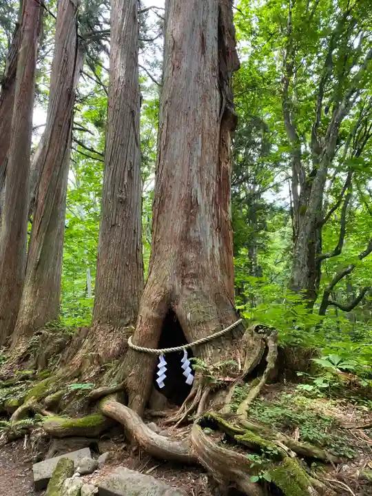 戸隠神社奥社(長野県)
