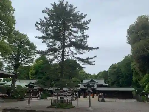 井草八幡宮の自然