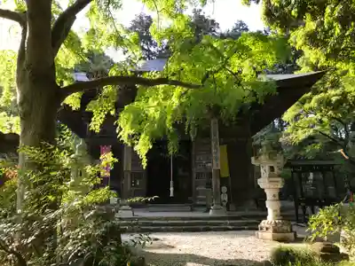 岩之上堂(埼玉県)