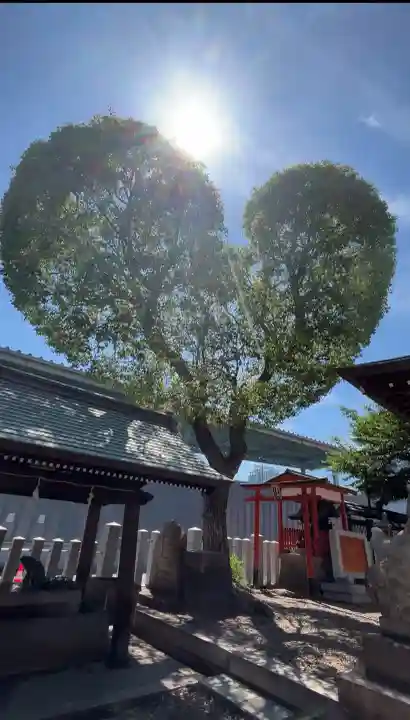 南宮宇佐八幡神社(脇浜神社)(兵庫県)