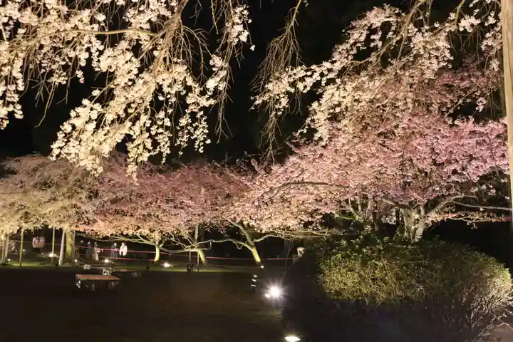 三宝院(三宝院門跡)の自然