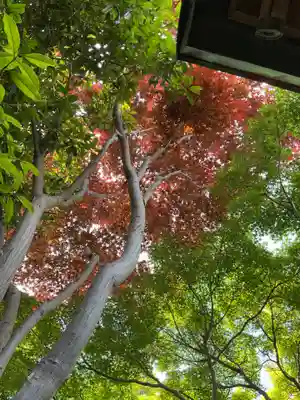 常照院（曼陀羅寺塔頭）(愛知県)