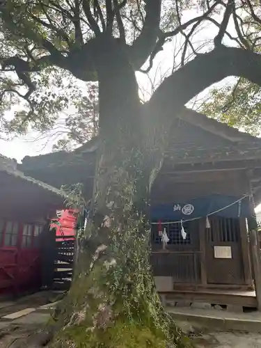 青井阿蘇神社(熊本県)