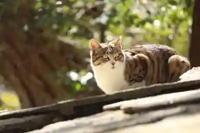 玉野御嶽神社(愛知県)