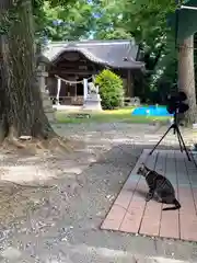 網戸神社の動物