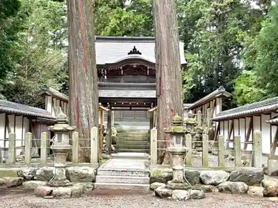 野々宮神社の自然