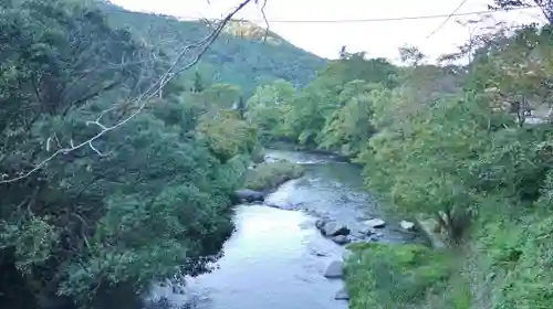 光明寺瑠璃光院の自然