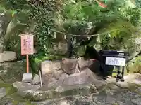 飛瀧神社(熊野那智大社別宮)の自然